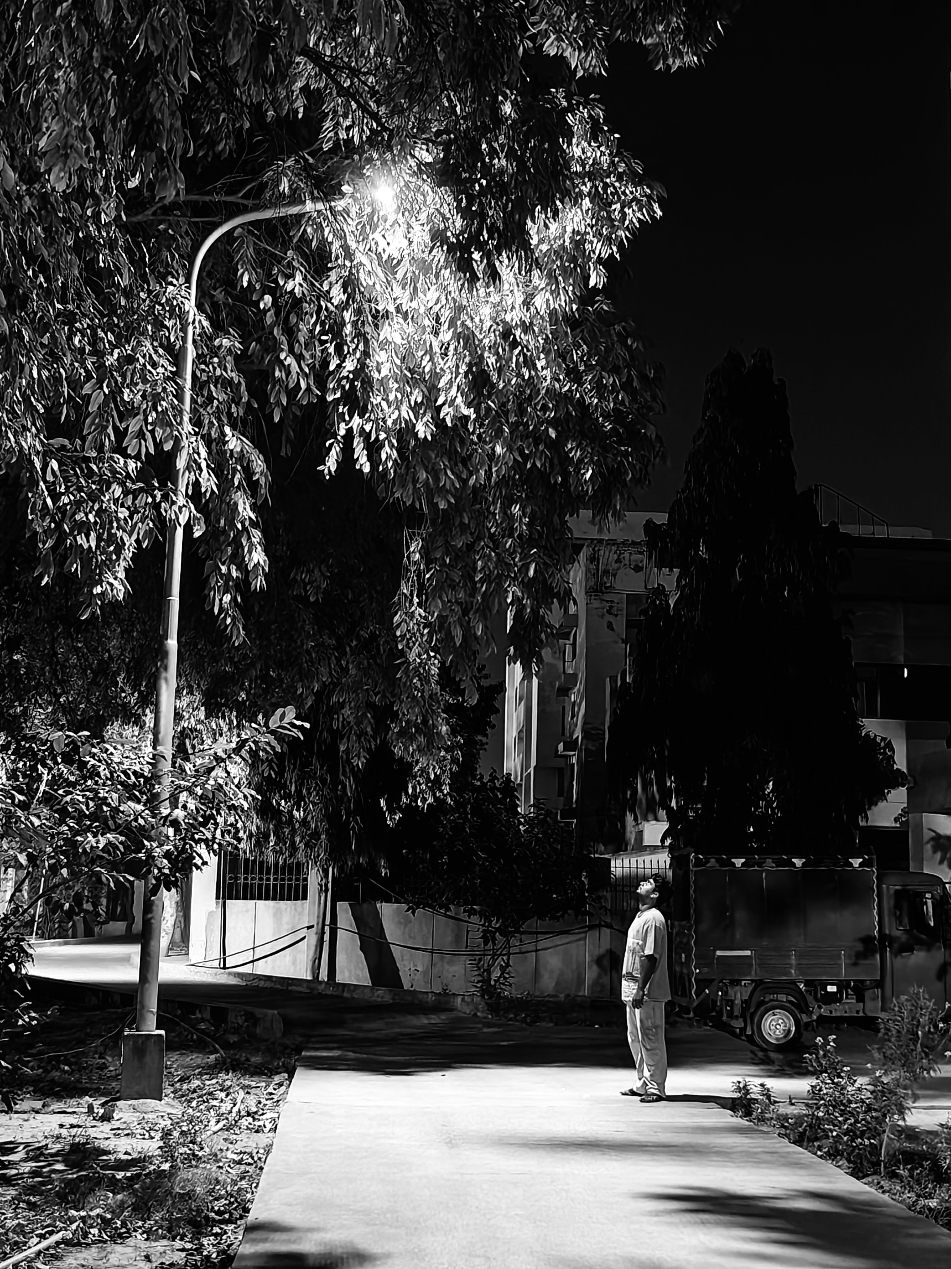 NIGHT LIGHT 