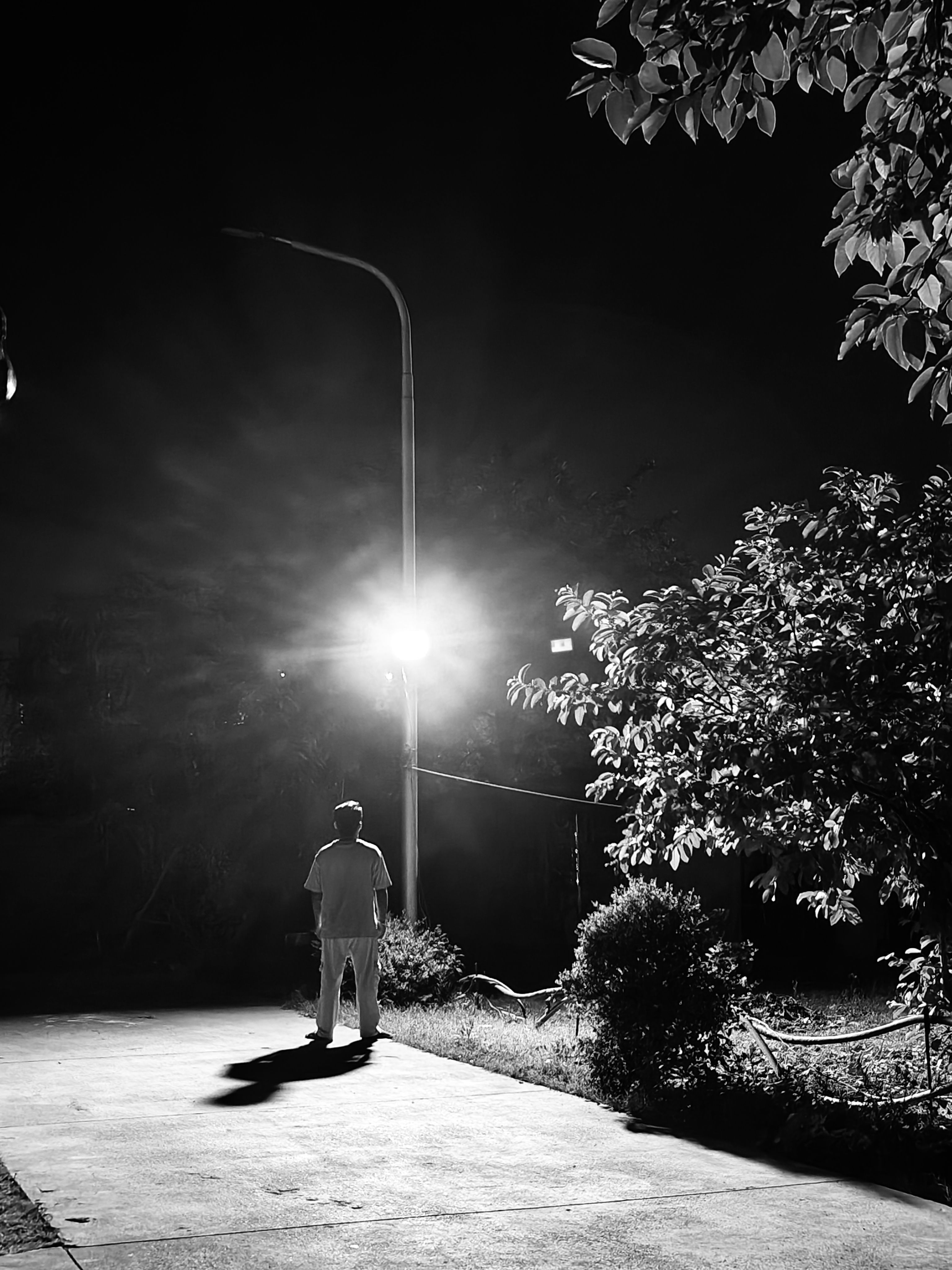 NIGHT ANGLE