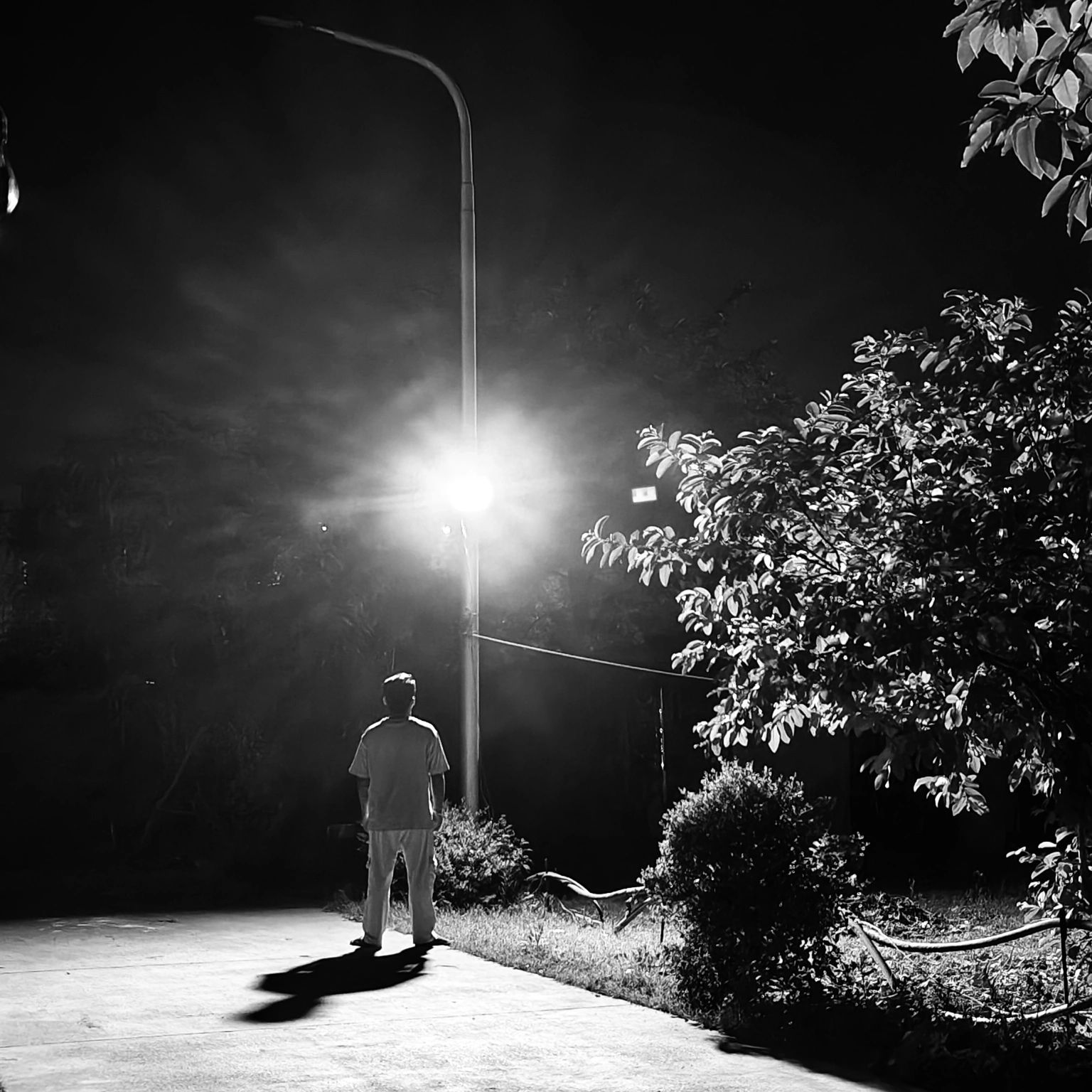 LOOKING NIGHT LIGHT